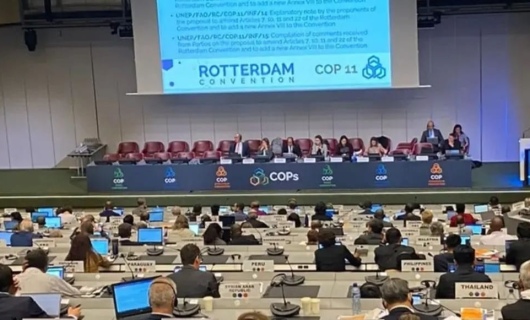 Хризотил не внесли в список запретительных веществ!